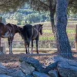 Agroturismo La *
