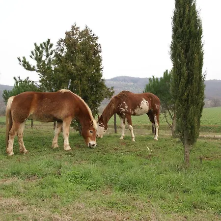 Vakantieboerderij La Magione