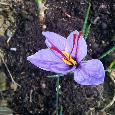 La Vakantieboerderij