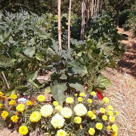 Farm stay La *