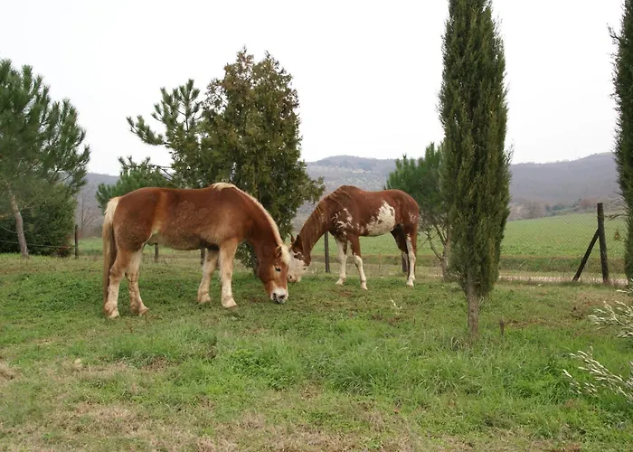 Feriegård La Magione